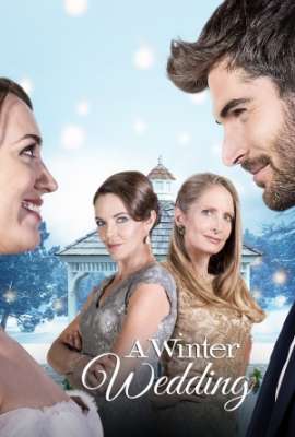 Winter Wedding (A Family for the Holidays)