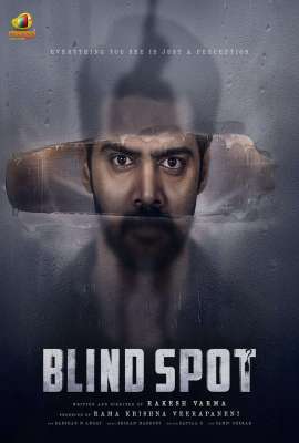 Blind Spot 